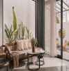 ✨🏡✨ Cần bán Nhà Phố Hẻm xe hơi đường Bạch Đằng, P.06, Đà Lạt