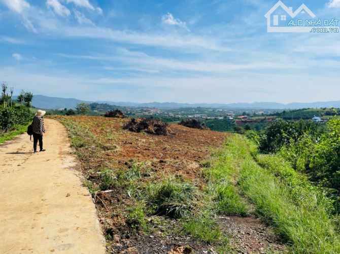 Bán 2 lô đất,lô góc, dt 10.911 m² và 8.090 m²,đầu tư siêu lợi nhuận tại Lâm Hà, Lâm Đồng