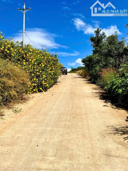 Bán 2 lô đất,lô góc, dt 10.911 m² và 8.090 m²,đầu tư siêu lợi nhuận tại Lâm Hà, Lâm Đồng