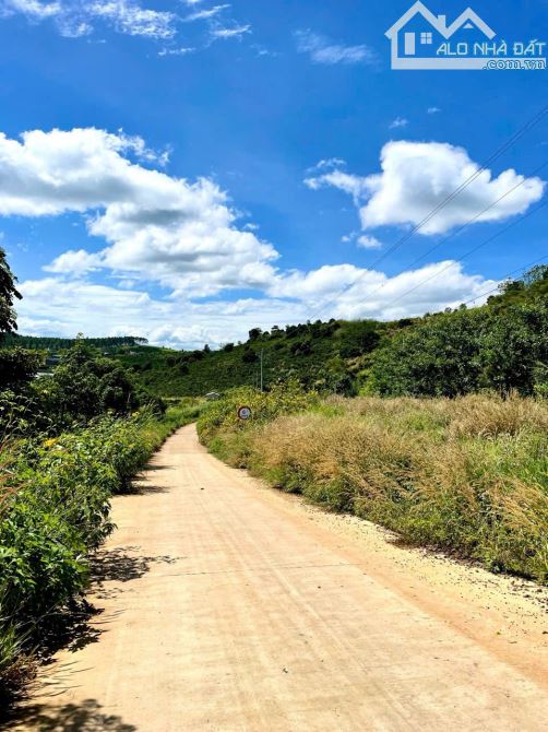 Bán 2 lô đất,lô góc, dt 10.911 m² và 8.090 m²,đầu tư siêu lợi nhuận tại Lâm Hà, Lâm Đồng