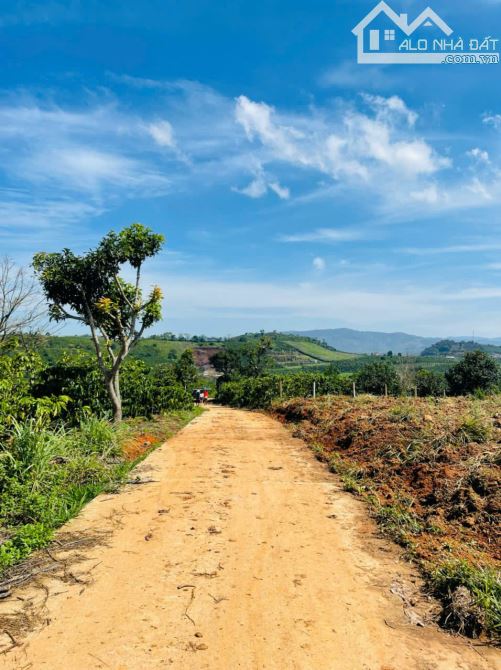 Bán 2 lô đất,lô góc, dt 10.911 m² và 8.090 m²,đầu tư siêu lợi nhuận tại Lâm Hà, Lâm Đồng