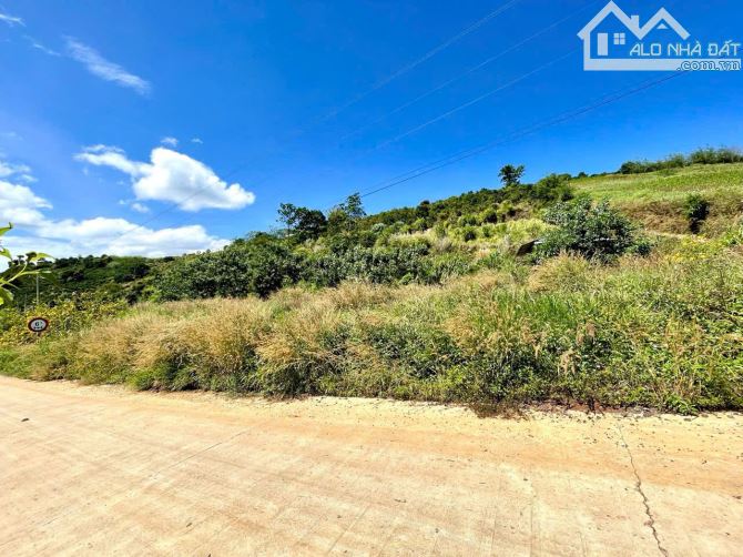 Bán 2 lô đất,lô góc, dt 10.911 m² và 8.090 m²,đầu tư siêu lợi nhuận tại Lâm Hà, Lâm Đồng