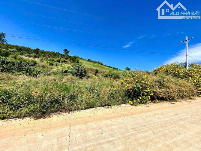 Bán 2 lô đất,lô góc, dt 10.911 m² và 8.090 m²,đầu tư siêu lợi nhuận tại Lâm Hà, Lâm Đồng