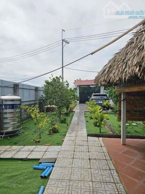 BÁN ĐẤT VƯỜN 500m² – SỔ HỒNG RIÊNG – TRUNG TÂM BẾN LỨC - 3