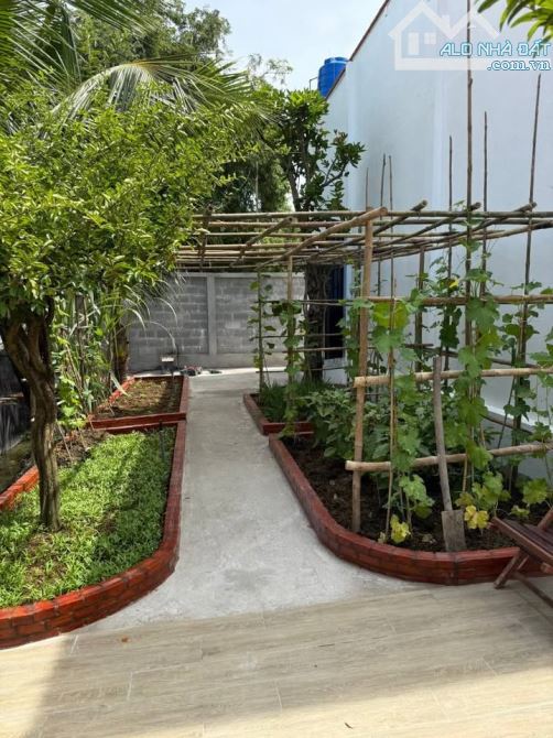 BÁN ĐẤT VƯỜN 500m² – SỔ HỒNG RIÊNG – TRUNG TÂM BẾN LỨC - 5