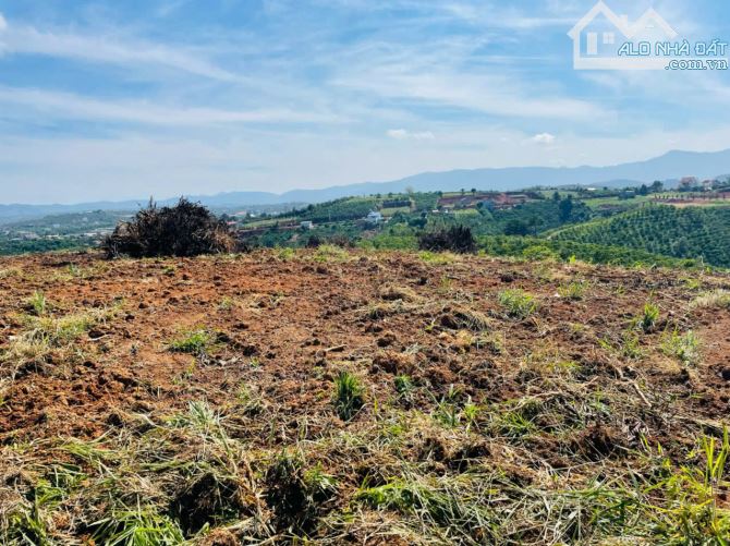 Bán 2 lô đất,lô góc, dt 10.911 m² và 8.090 m²,đầu tư siêu lợi nhuận tại Lâm Hà, Lâm Đồng