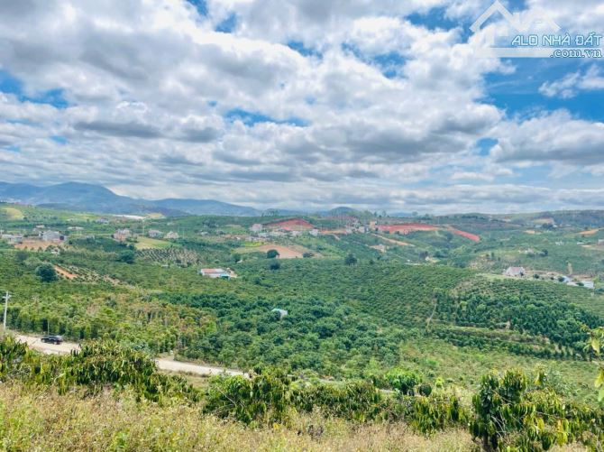 Bán 2 lô đất,lô góc, dt 10.911 m² và 8.090 m²,đầu tư siêu lợi nhuận tại Lâm Hà, Lâm Đồng