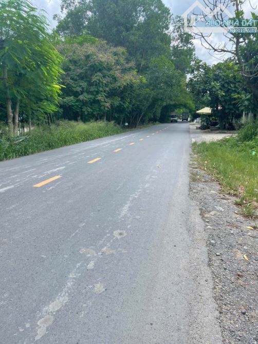 Bán Đất Mặt Tiền Đường Thanh Niên - Bình Chánh DT 14m x 54m - 9.8 Tỷ - 1