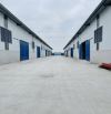 Cho thuê kho Ba La, Hà Đông. Từ 800m2 đến 2000m, cao 10m, có PCCC, công đỗ cửa kho mới