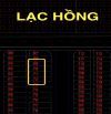 - Bán đất Lô 20B Lê Hồng Phong sau Lạc Hồng - Diện tích: 59.85m2 ngang 4.5m dài 13.3m - Tr
