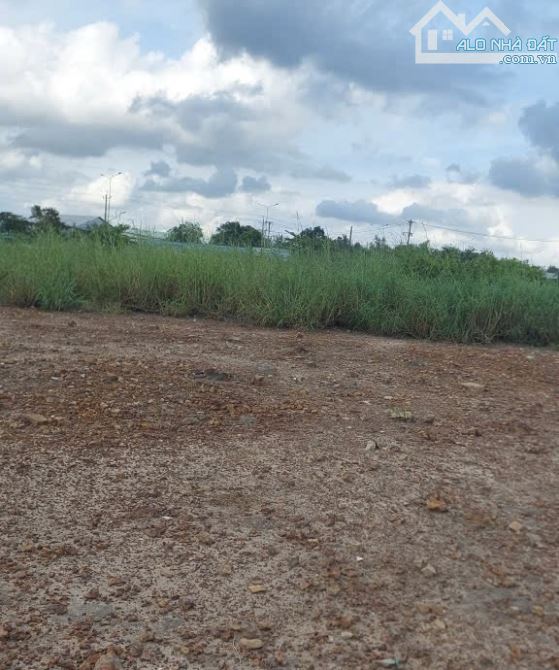 BÁN ĐẤT MT DT744, THANH TUYỀN, DẦU TIẾNG, DT:43x88, TC100M2, SHR, GIÁ 15 TỶ - 1