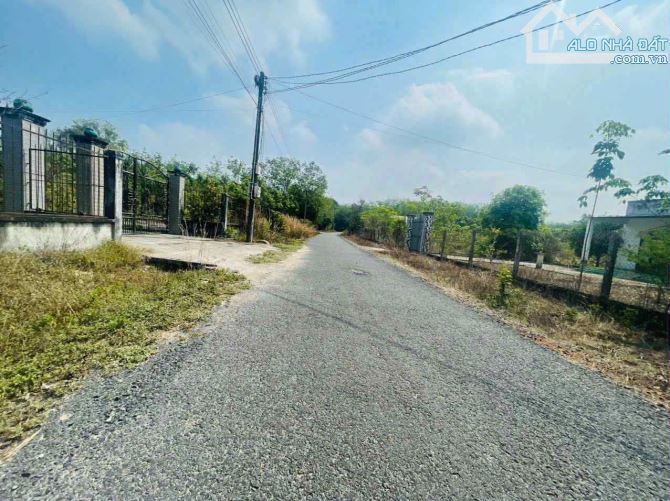 Bán lô đất TPHCM siêu đẹp đường nhựa dận cư đông giá rẻ bèo - 2