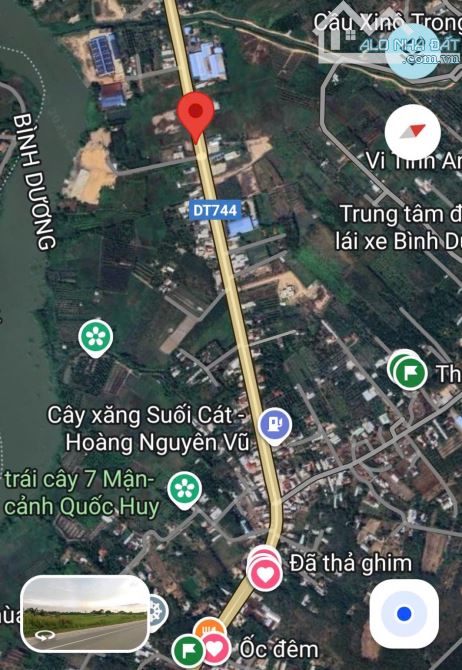 BÁN ĐẤT MT DT744, THANH TUYỀN, DẦU TIẾNG, DT:43x88, TC100M2, SHR, GIÁ 15 TỶ - 5