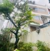 TOÀ CĂN HỘ TRẦN CAO VÂN – 100M² – 5 TẦNG  – DÒNG TIỀN 80TR/THÁNG – GIÁ 17.9 TỶ
