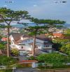 🌲 BÁN BIỆT THỰ NGHỈ DƯỠNG – ĐƯỜNG YÊN THẾ, P.10, TP. ĐÀ LẠT - 974m² - 97ty