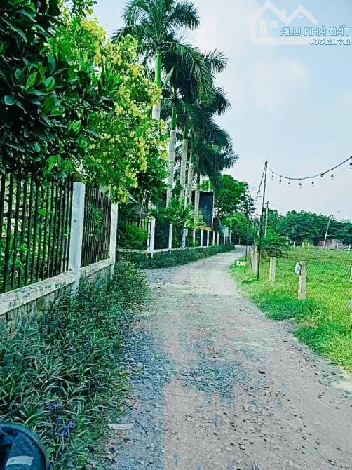 CHỦ KET TIỀN BÁN LÔ ĐẤT 80M2-GIÁ CHỈ 1 TỶ080TR-VĨNH LỘC A-BÌNH CHÁNH - 2