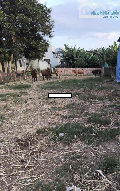 📌📌📌LÀM VIỆC TRỰC TIẾP GIÁ TỐT !!! Bán đất Hòa Phú, Hòa Vang - 2