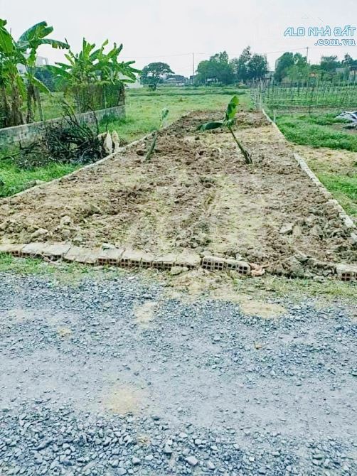 CHỦ KET TIỀN BÁN LÔ ĐẤT 80M2-GIÁ CHỈ 1 TỶ080TR-VĨNH LỘC A-BÌNH CHÁNH - 3