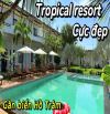 Homestay khu nhà vườn siêu đẹp tại Hồ Tràm – chỉ cách biển 5 phút! Diện tích 1.650m², sổ h