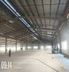 Cho thuê 4.100m2  Kho, Xưởng tại khu CN Cẩm Giàng, tỉnh Hải Dương.