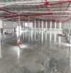 XT223 Nhà Xưởng Cho Thuê Sản Xuất - Kho Lưu Trữ Tại KCN Bình Thuận  Diện Tích Nhà Xưởng Đa