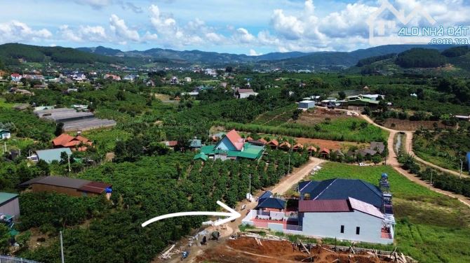 ✨ 1 Căn Nhà Nhỏ Ven Đà Lạt ngay chân đồi, View đồi thông & View săn mây Cực Đỉnh - 1,55 TỶ