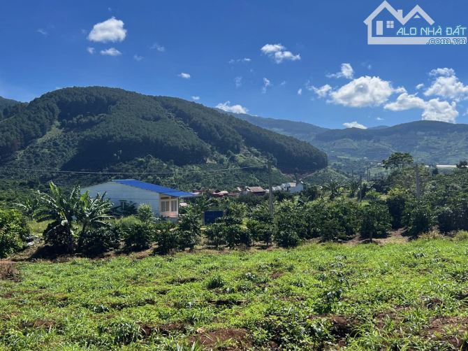 ✨ 1 Căn Nhà Nhỏ Ven Đà Lạt ngay chân đồi, View đồi thông & View săn mây Cực Đỉnh - 1,55 TỶ - 14