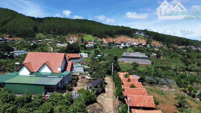 ✨ 1 Căn Nhà Nhỏ Ven Đà Lạt ngay chân đồi, View đồi thông & View săn mây Cực Đỉnh - 1,55 TỶ - 2