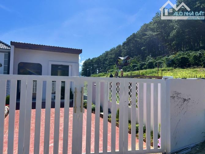 ✨ 1 Căn Nhà Nhỏ Ven Đà Lạt ngay chân đồi, View đồi thông & View săn mây Cực Đỉnh - 1,55 TỶ - 3