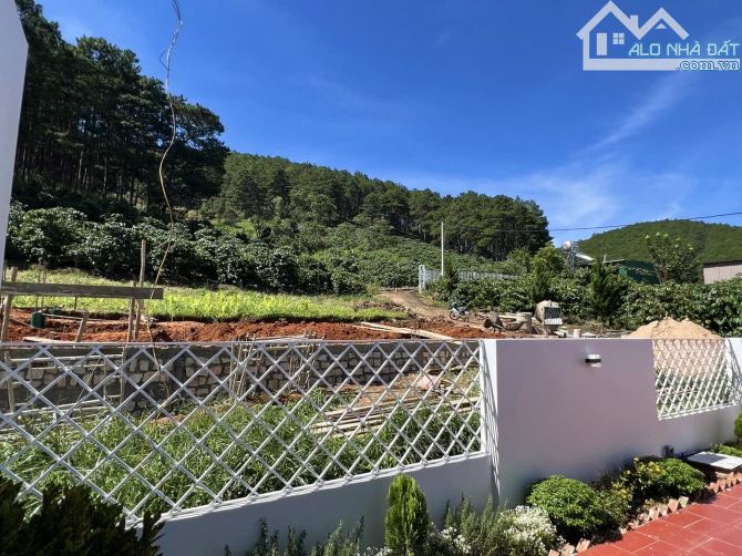✨ 1 Căn Nhà Nhỏ Ven Đà Lạt ngay chân đồi, View đồi thông & View săn mây Cực Đỉnh - 1,55 TỶ - 6