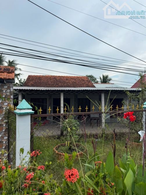 CẦN BÁN NHÀ MẶT TIỀN ĐƯỜNG NHỰA 6M 24 X 44 CHỢ NGÃ 5 CAI LẬY TIỀN GIANG 150 TRIỆU/M NGANG