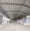 Bán kho xưởng mặt tiền chính đồng khởi sổ hồng riêng 18 x 100m phường trảng dài