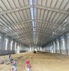 Cho Thuê Kho Xưởng 5000m2 đến 15.000m2 giá 60k/m2 bàn giao ngay tại Tân Kiên Bình Chánh