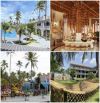 CHO THUÊ RESORT 4 SAO - 119 PHÒNG- MT BIỂN MŨI NÉ TRUNG TÂM PHAN THIẾT- 650TR/TH