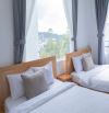 Homestay Trung Tâm Đà Lạt – Siêu Phẩm 11 Phòng, Kinh Doanh Sinh Lời Tức Thì!