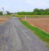 Bán 1000m2 đất giá 1tỷ850triệu đường Bùi Văn Hoàng Mỹ Lệ-Cần Đước cách chợ Bình Chánh 25ph