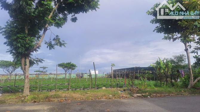 BÁN ĐẤT 2 MẶT TIỀN KHU HÒA XUÂN - VỊ TRÍ ĐẸP CÁCH DỰ ÁN TT THƯƠNG MẠI VÀI BƯỚC - 1