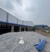 Cho thuê xưởng 14000m2. PCCC tự động, đầy đủ giấy phép. Sản xuất đa nghề. Phú Giáo, Bình D