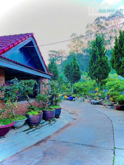 Bán khách sạn 400m ngay thác Cam Ly, 13PN 3 bungalow