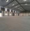 Bán kho Xưởng 165 tỷ 40m x 280m mặt tiền Trần Đại Nghĩa, Tân Kiên,Bình Chánh