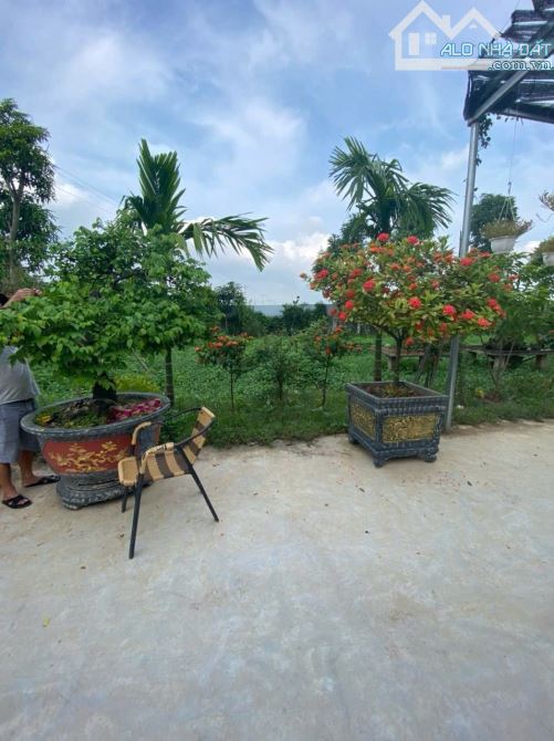 BÁN GẤP ĐẤT NHÀ VƯỜN - VÀNH ĐAI 4 THƯỜNG TÍN HÀ NỘI