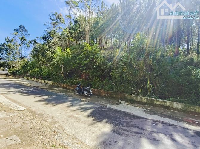 114m² – NHÀ PHỐ HAI HẦM HIẾM CÓ – VIEW ĐỒI NGÔ QUYỀN XANH MÁT – CHỈ 7.9 TỶ 🔥 - 13