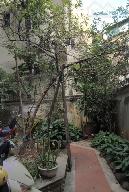 ĐẤT PHƯƠNG MAI ĐỐNG ĐA – 310M² – SỔ VUÔNG ĐẸP – Ô TÔ ĐỖ CỬA – GIÁ ĐẦU TƯ CHỈ 220TR/M² –