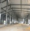Cho Thuê Kho Xưởng Ngay Quốc Lộ 1A 4000m2 Sản Xuất Hoặc Chứa Hàng Tại Bến Lức Long An