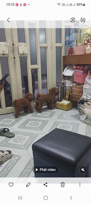 LINH LANG BA ĐÌNH 4.75 TỶ, 3 TẦNG, SỔ RIÊNG, VỊ TRÍ ĐẸP, GIÁ TỐI, CỰC HIẾM.