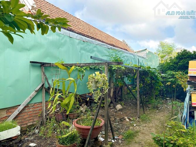 BÁN ĐẤT FULL THỔ NỞ HẬU HẺM PHÚ XƯƠNG , PHƯỜNG VĨNH HẢI (cũ) - 1