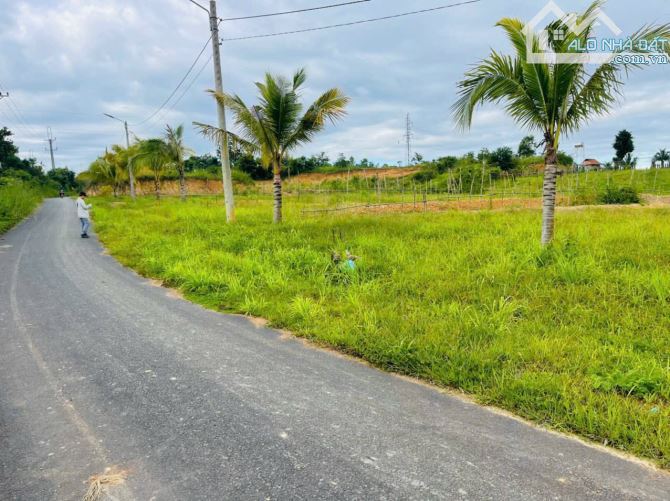 BÁN 1,6 NÔNG NGHIỆP VÀ THỔ CƯ  ĐẤT TRÚC SƠN – CƯ JÚT - 1