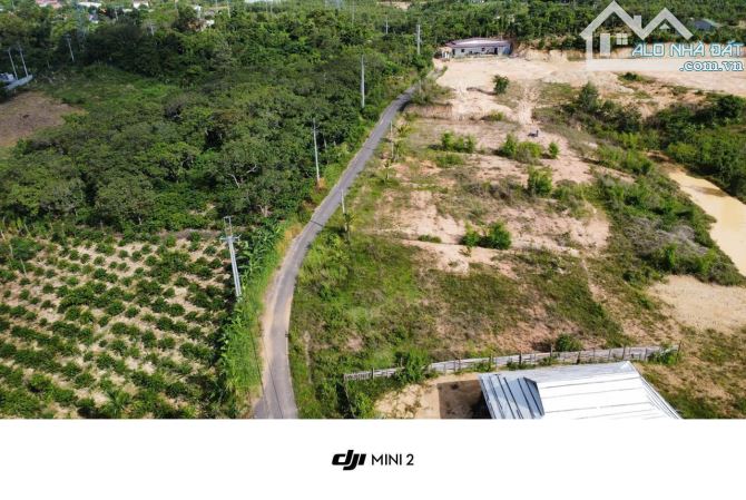 BÁN 1,6 NÔNG NGHIỆP VÀ THỔ CƯ  ĐẤT TRÚC SƠN – CƯ JÚT - 2