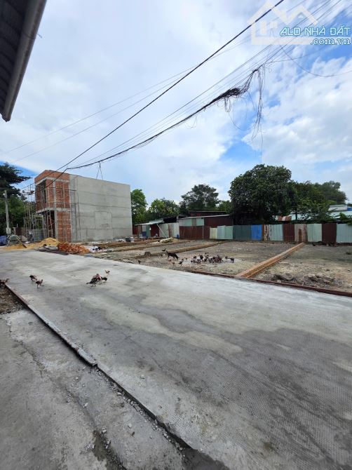 2,65Tỷ🔥Bán đất 62,6m2 hẻm đường Nguyễn Du, gần KCN Vsip 1, p.An Phú, Tp.Thuận An - 3