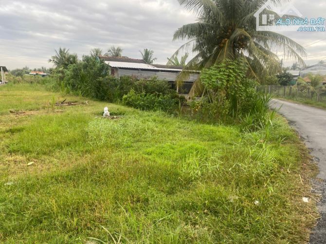 ĐẤT MẶT TIỀN – GIÁ TỐT  – CHÍNH CHỦ CẦN BÁN tại Đường Bình Ninh, xã Phục Nhứt, Chợ Gạo. - 3